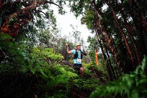 BIB: 
                            <button type="button" onclick="openModal(26202330)" class="btn btn-primary btn-sm float-right btn-popup" data-toggle="modal" data-target=".modal-high-quality">
                        <i class="fas fa-shopping-cart"></i> Add to Cart
                    </button>
                                            <button type="button" onclick="isThisMe(26202330, true)" class="btn btn-success btn-sm float-right btn-popup btn-isme hidden" data-toggle="tooltip" data-placement="bottom" title="นี่คือรูปของคุณใช่ไหม คลิกที่นี่เพื่อเอาเข้าอัลบั้ม">
                        <i class="fas fa-plus"></i> Add to album
                    </button>
                    <button type="button" onclick="isThisMe(26202330, false)" class="btn btn-warning btn-sm float-right btn-popup btn-isnotme hidden">
                        <i class="fas fa-ban"></i> Remove from album
                    </button>